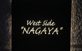 Usjまで車15分!! 難波2駅4分の好立地!! ブルックリン&和モダンの貸切一軒nagaya